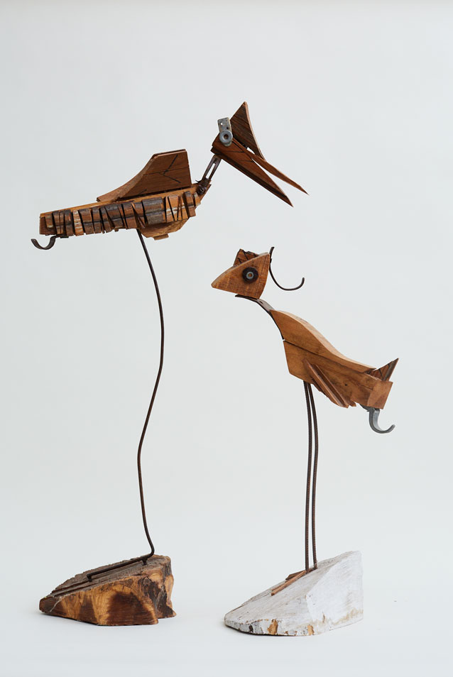 14_Par-de-oajaros_445A2586