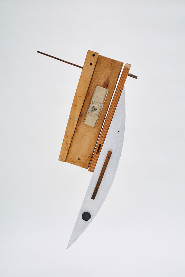 15_Signos-vitales_445A1937